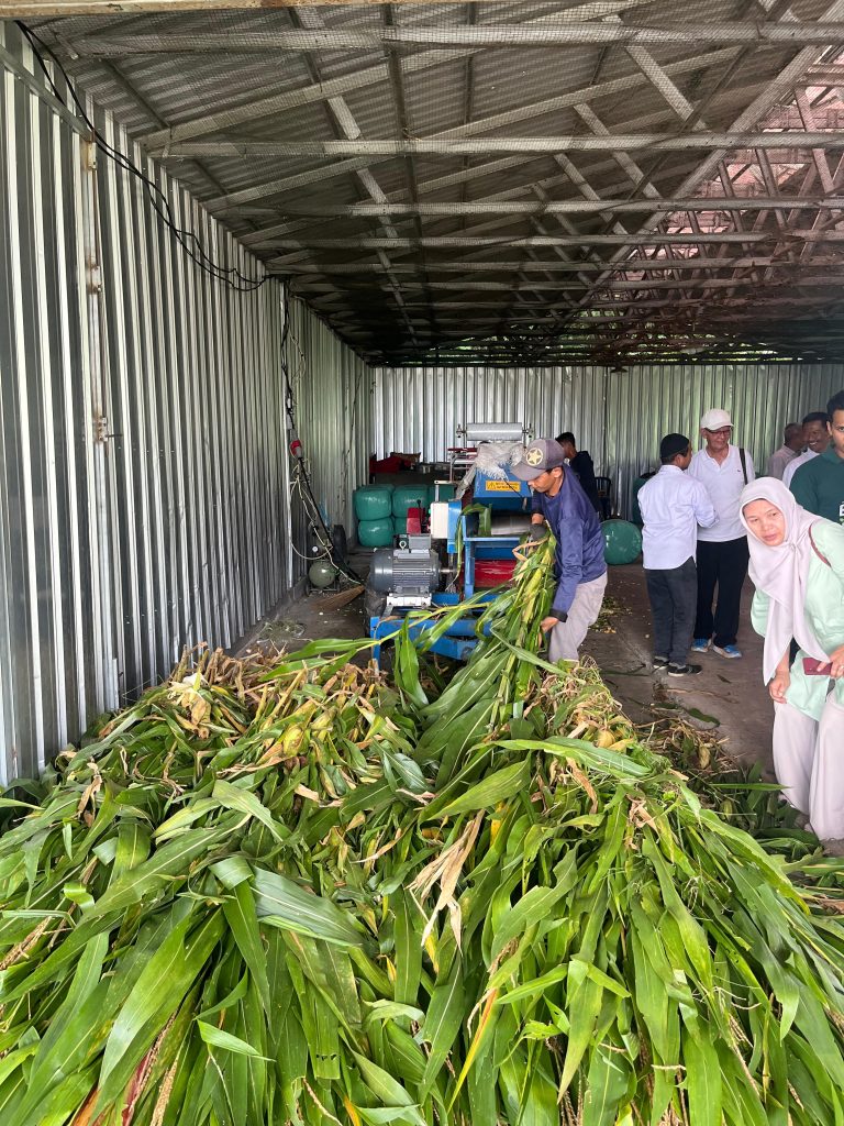 proses pengemasan silase menggunakan mesin wrapballe