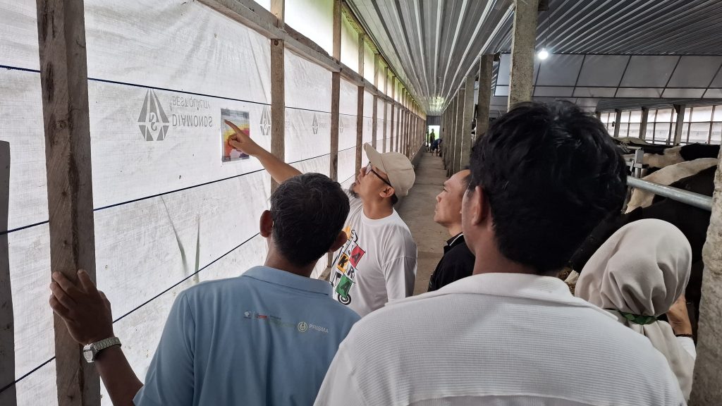 Pelajari Sistem Kandang Closed House untuk Tingkatkan Produktivitas Ternak