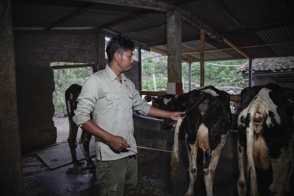 Sarihusada Generasi Mahardhika (SGM), Danone Ecosystem, dan Rumah Energi sejak tahun 2023 bekerja sama dalam program Farmer Resilience and Enhanced Sustainable Husbandry (FRESH)