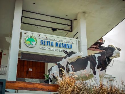 Koperasi di Tengah Perubahan Menjembatani Generasi dengan Transformasi