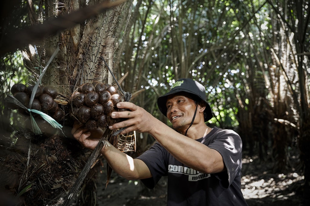 Bio-slurry ampas biogas kaya nutrisi