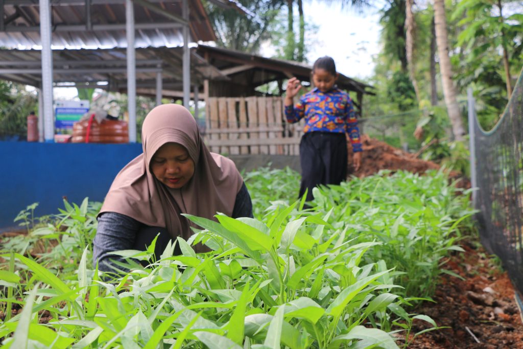 Renewable Energy for Eco-tourism and Conservation