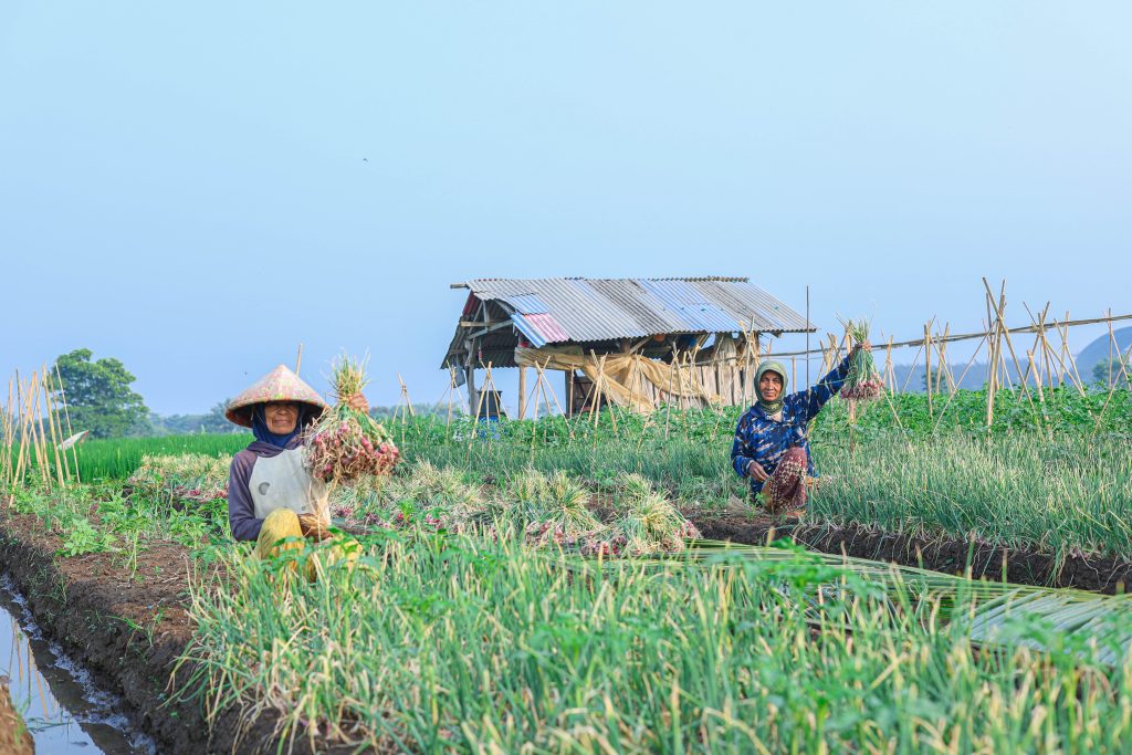 Ibu Masikah berdiskusi dengan pendamping lapangan Kelompok Tani Tegallega