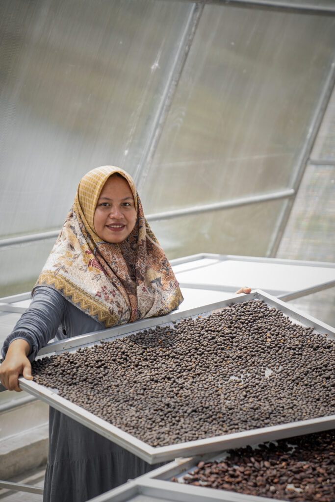 Aktivitas perempuan KWT memanfaatkan energi terbarukan